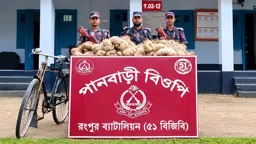 পাটগ্রাম সীমান্তে ভারতে পাচারকালে ৬ মণ বাংলাদেশি পাট জব্দ