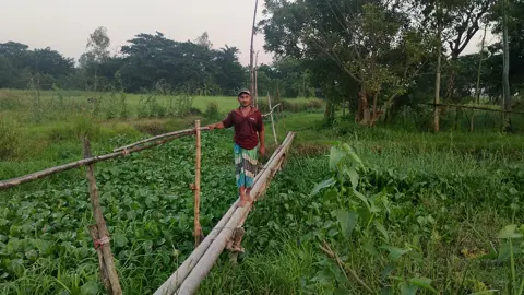 পটিয়ায় দুই ইউনিয়নের রশি টানাটানিতে ৩০ পরিবারের দুর্ভোগ