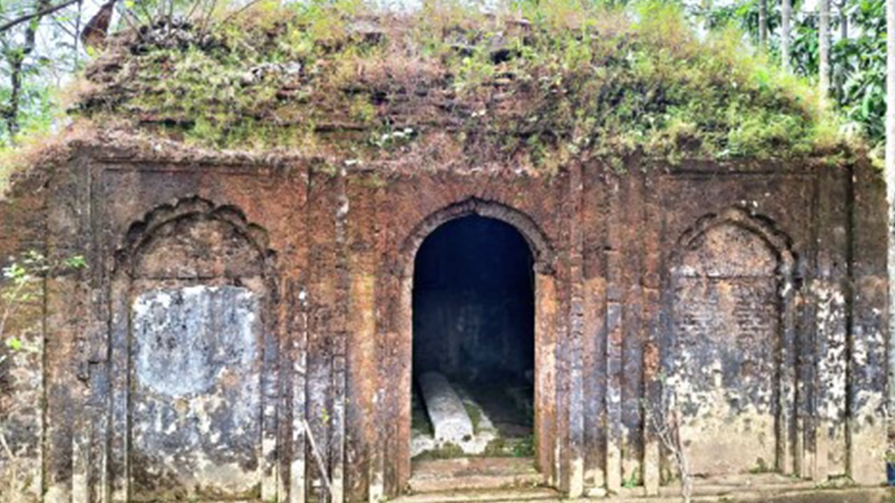 পডযড়ড
