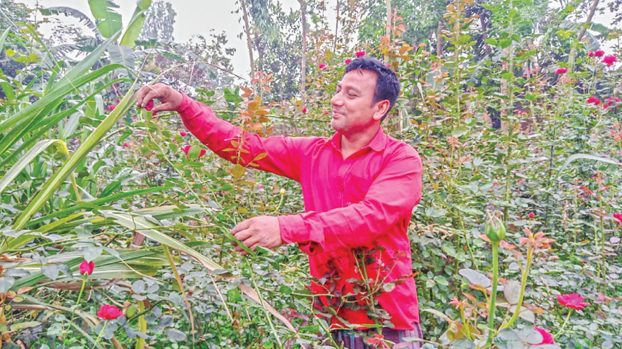 ফুল চাষে বদলে যাওয়া নাজমুলের সাফল্যের গল্প