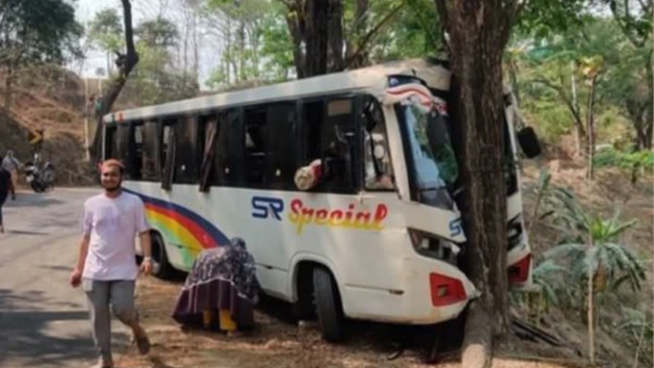 লামায় সড়কের পাশের একটি গাছে রক্ষা পেলো ৩২ প্রাণ