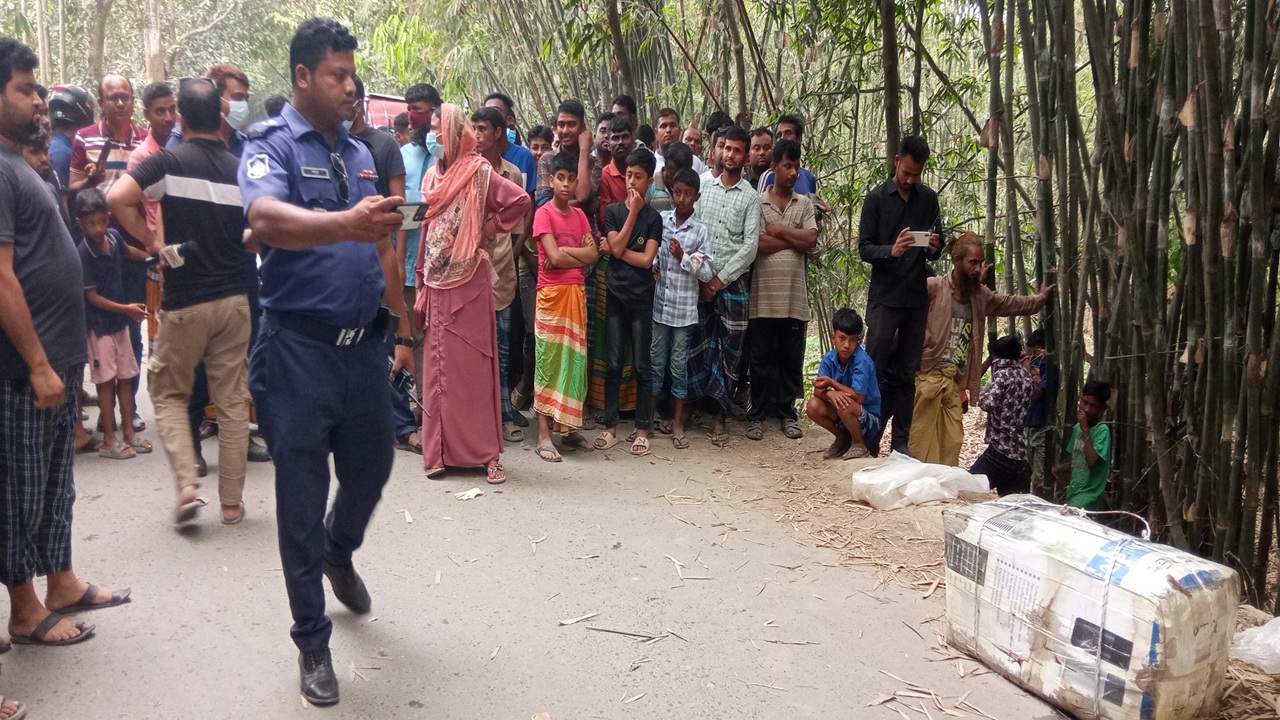 মানিকগঞ্জে বাঁশঝাড়ে কার্টনে মিললো তরুণীর লাশ
