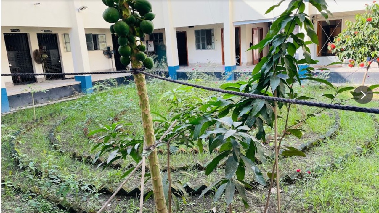 ফোনে কথা বলার সময় ছাদ থেকে পড়ে তরুণের মৃত্যু