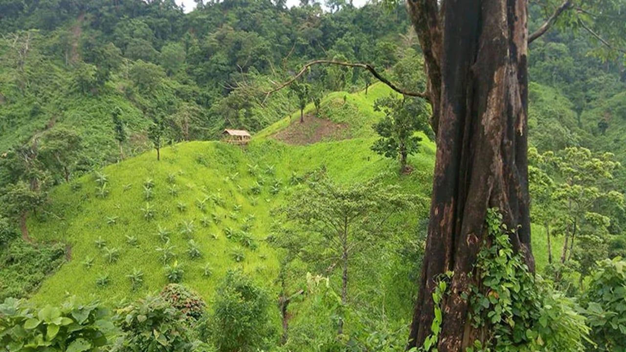 লামায় তামাক চাষি-শ্রমিকসহ ৯ জনকে অপহরণ