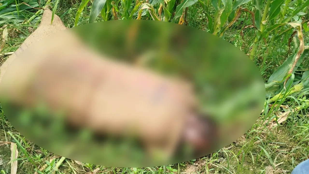 শিবপুরে এক যুবকের বস্তাবন্দি লাশ উদ্ধার