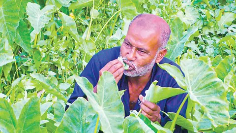 ২৬ বছর ধরে লতাপাতা খেয়ে জীবনযাপন