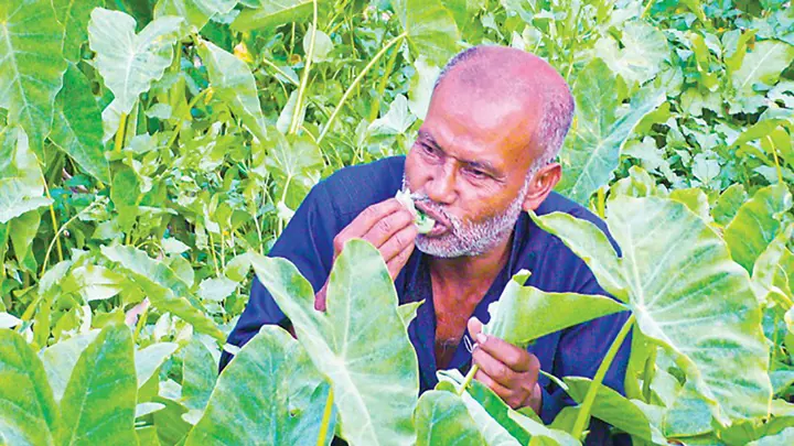 ২৬ বছর ধরে লতাপাতা খেয়ে জীবনযাপন