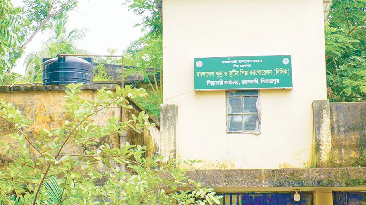 অপরাধীদের দখলে স্বরূপকাঠি বিসিক শিল্পনগরী