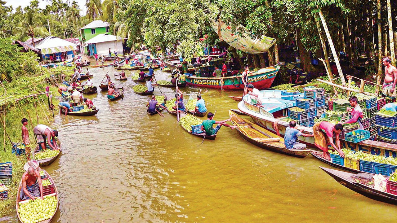 হিমাগার না থাকায় নষ্ট হচ্ছে কোটি টাকার পেয়ারা