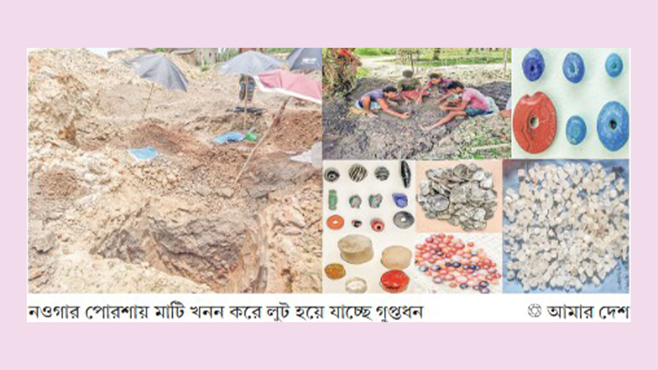 পোরশায় লুট হয়ে যাচ্ছে সম্পদ