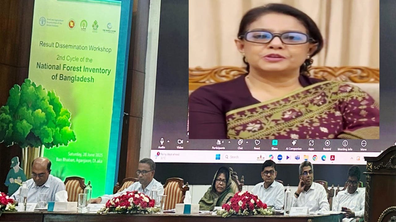 বন ও প্রাকৃতিক সম্পদ ব্যবস্থাপনায় সকলের অংশগ্রহণ জরুরি: পরিবেশ উপদেষ্টা