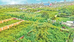 ৩১ বছরেও বাসযোগ্য হয়নি পূর্বাচল প্রকল্প