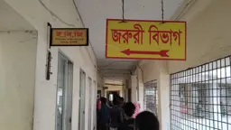 রাজাপুর স্বাস্থ্য কমপ্লেক্সের ১০০ পদ শূন্য