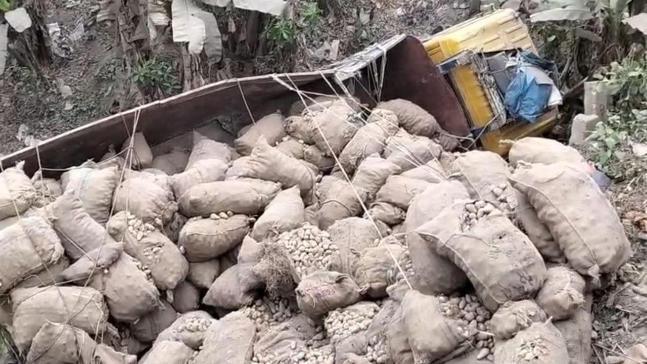 রাজবাড়ীতে আলুভর্তি ট্রাক উল্টে চালক নিহত