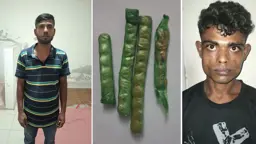 মাদক সমাবেশের কয়েক ঘণ্টা পরই ইয়াবাসহ গ্রেপ্তার দুই যুবক