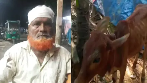 বিএনপি নেতার গোয়ালঘরে চুরি হওয়া গরু, কারণ দর্শানোর নোটিশ 