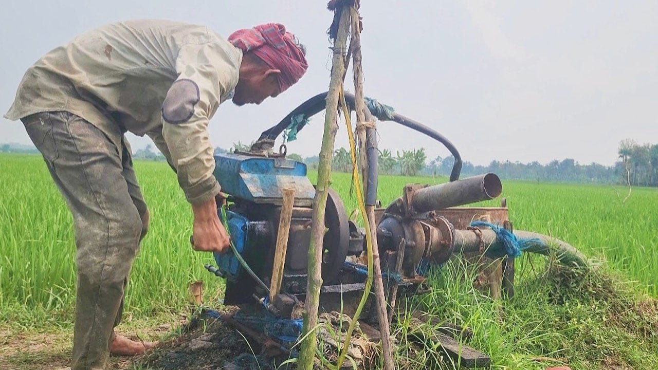 রামগঞ্জে জ্বালানি সংকটে সেচ দিতে না পেরে দিশেহারা কৃষক