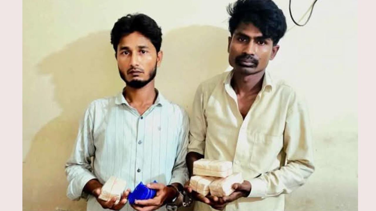 রামুতে ১০ হাজার পিস ইয়াবা উদ্ধার, আটক ২