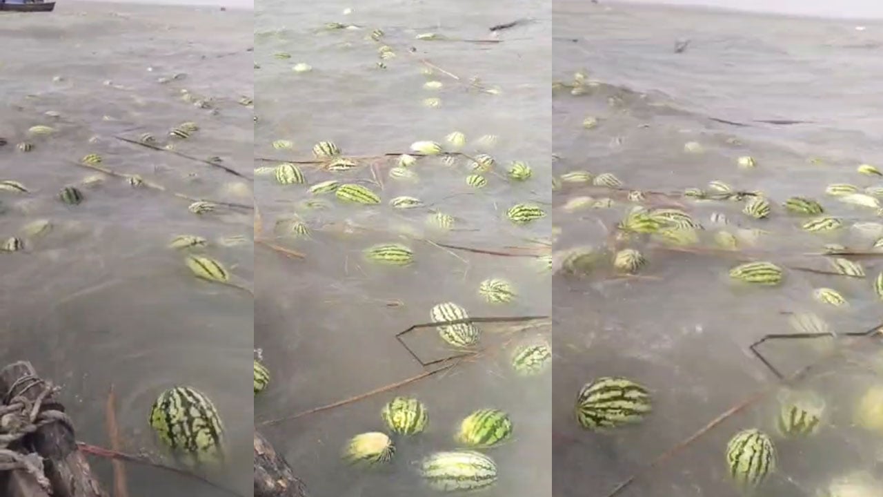 ঢেউয়ের কবলে পড়ে ট্রলার ডুবি, ভেসে গেল ১০ হাজার তরমুজ