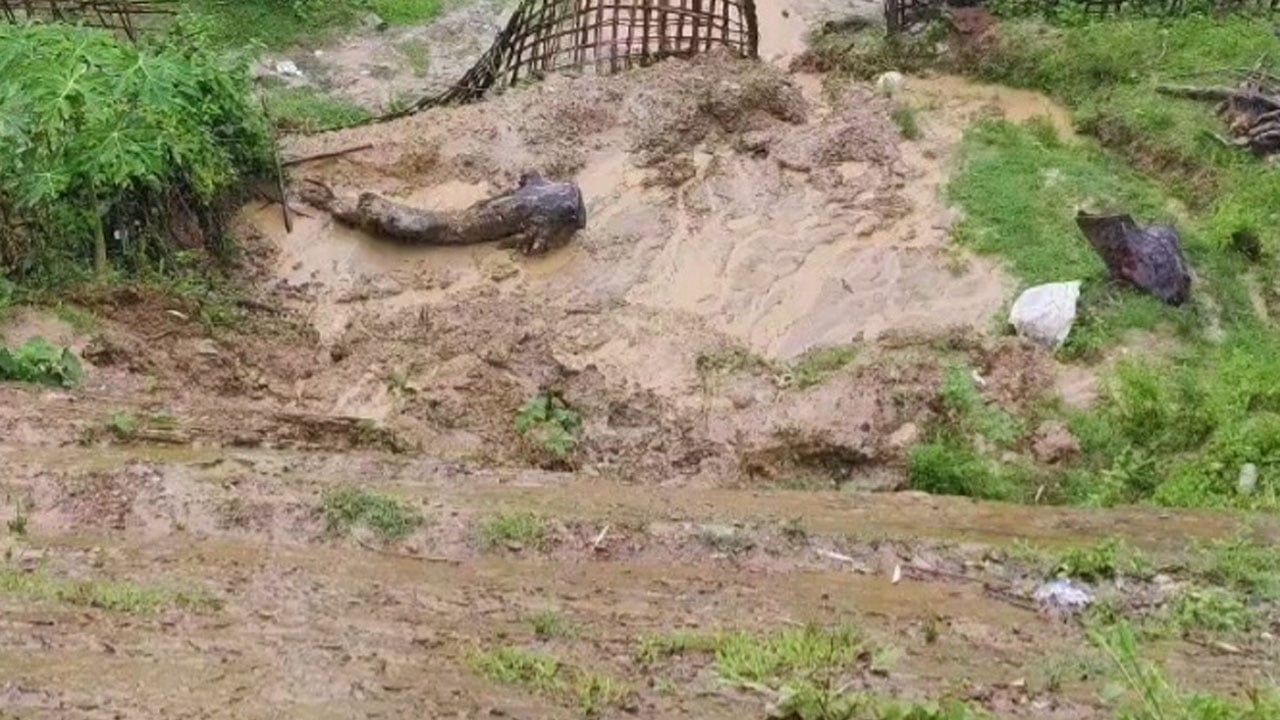 রাঙামাটিতে তিনদিন ধরে বৃষ্টি, পাহাড় ধসে বৃদ্ধের মৃত্যু