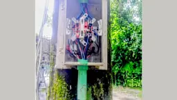 বৈদ্যুতিক মিটার চুরি করে বিকাশ নম্বর ঝুলিয়ে চাঁদা দাবি