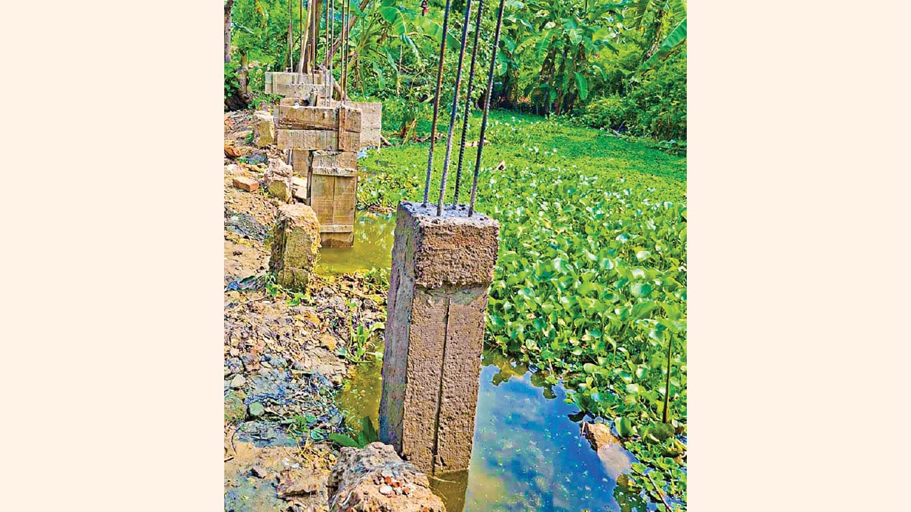 রাজবাড়ীর মৎস্যবীজ খামারের সীমানাপ্রাচীর নির্মাণে অনিয়ম