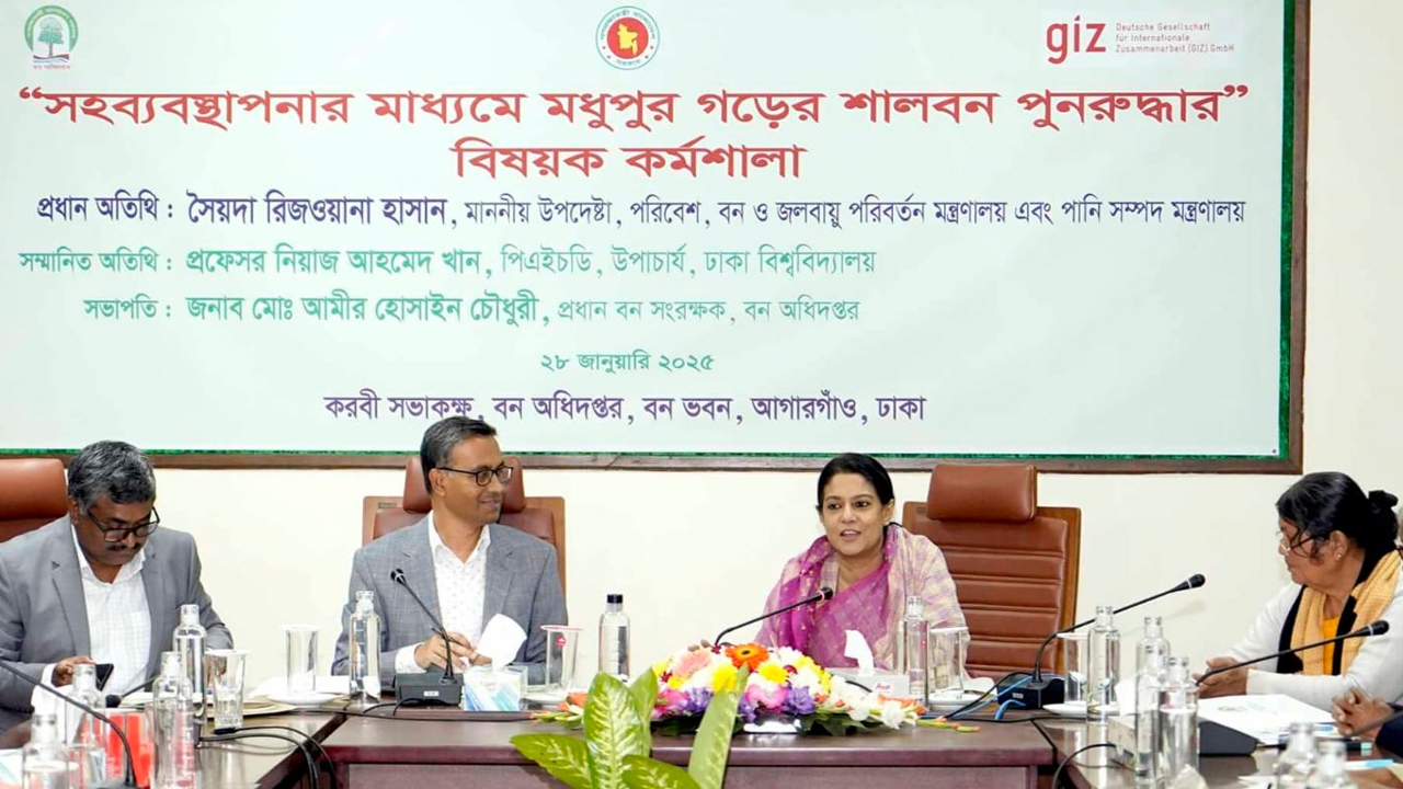 মার্চে শালবন উদ্ধার কার্যক্রম শুরু: পরিবেশ উপদেষ্টা