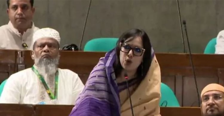 মনোনয়ন না দেওয়ায় বিএনপিকে ধন্যবাদ জানালো রুমিন ফারহানা