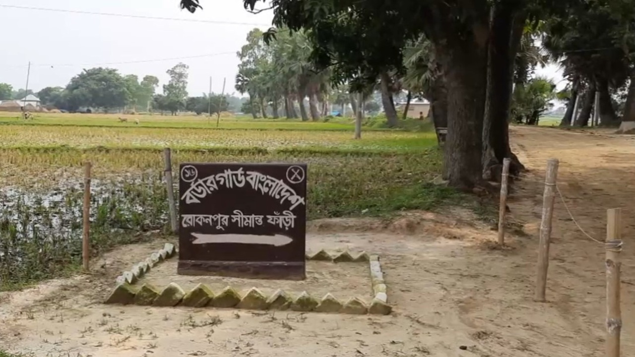 চাঁপাই সীমান্তে চার বাংলাদেশিকে ধরে নিয়ে গেছে বিএসএফ