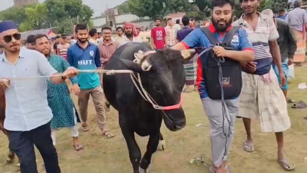 ঈদুল আজহায় রাবি শিবিরের ‘নুসুক-ই মতিহার’