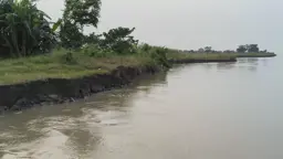 সদরপুরে ভয়াল পদ্মার ভাঙন, বিলীন হচ্ছে ফসলি জমি-বসতভিটা