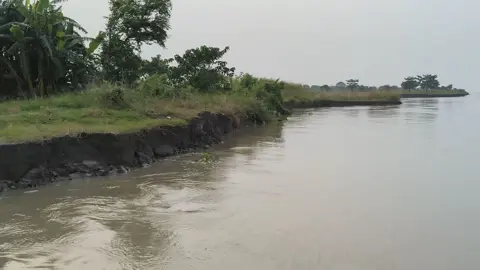 সদরপুরে ভয়াল পদ্মার ভাঙন, বিলীন হচ্ছে ফসলি জমি-বসতভিটা