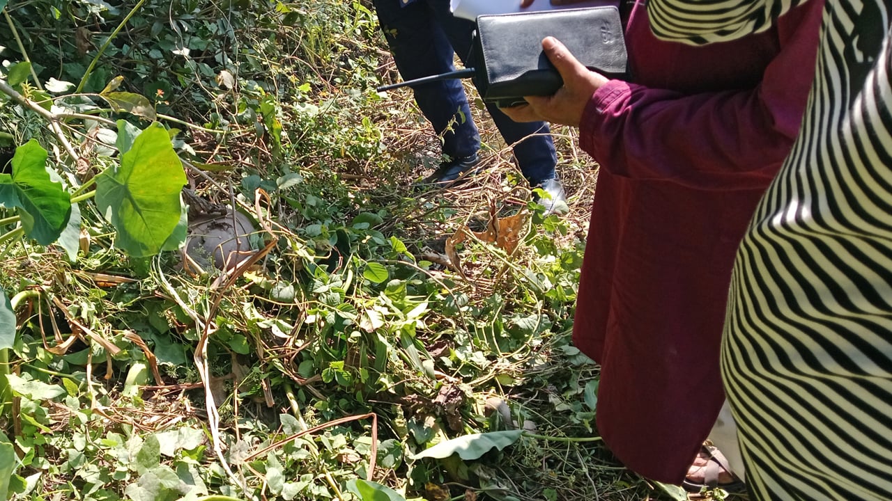 সদরপুরে সাব রেজিস্টার অফিসের পাশে অজ্ঞাত যুবতীর লাশ