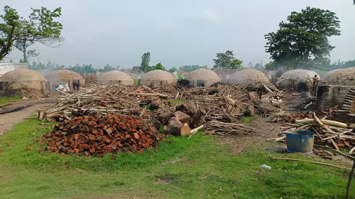 সাঘাটায় কারখানায় গাছ পুড়িয়ে হচ্ছে কয়লা