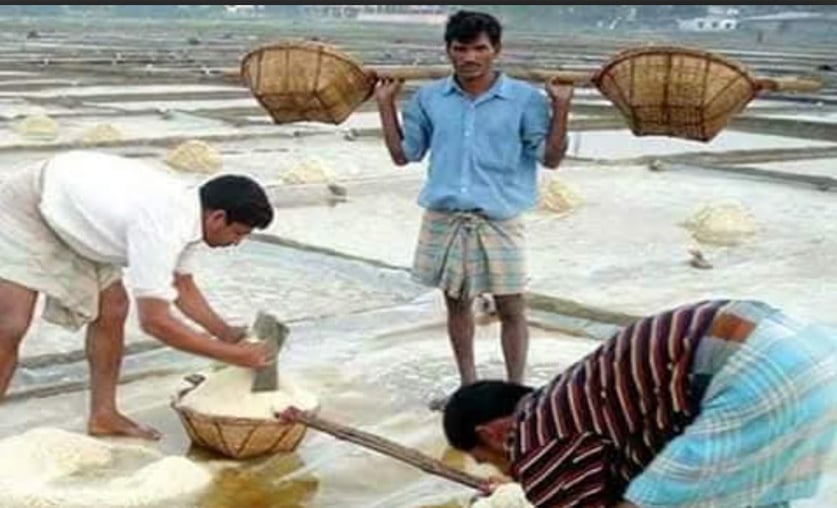 সিন্ডিকেটের কাছে জিম্মি মহেশখালীর প্রান্তিক লবণ চাষিরা