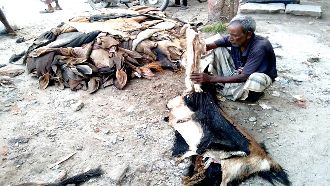 ফুলবাড়ীতে ১০ টাকায় ছাগলের চামড়া বিক্রি, হতাশ বিক্রেতারা