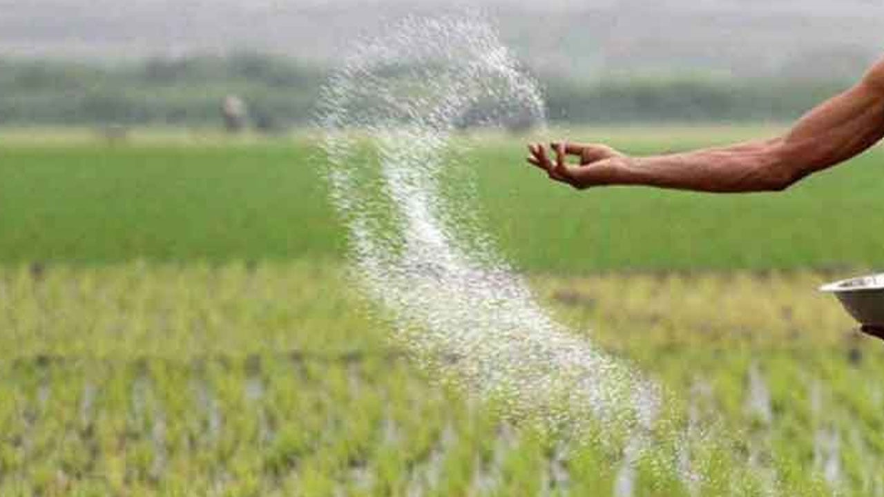 বিপুল পরিমাণ সার আমদানি করবে সরকার