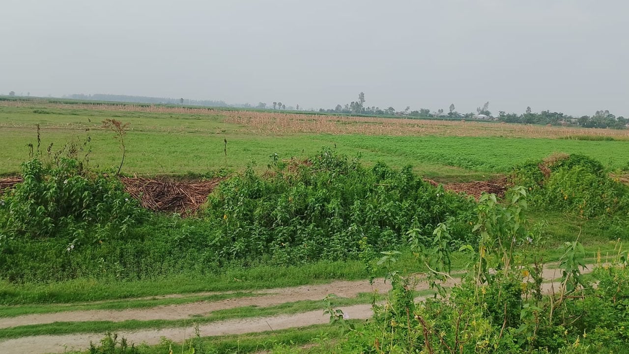 যমুনার চরে মহিষের বাথান থেকে চার খামারি অপহরণ