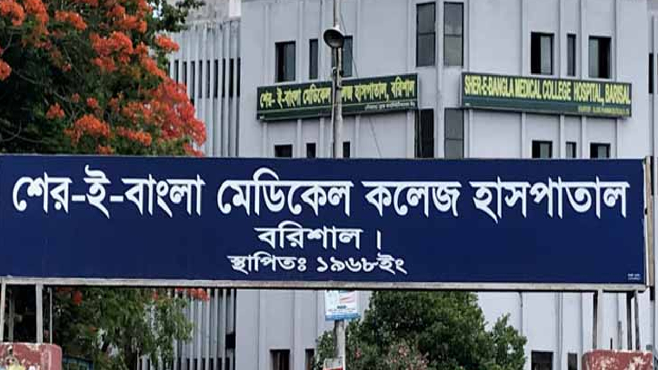 বরিশালে ডেঙ্গু আক্রান্ত নারীর মৃত্যু