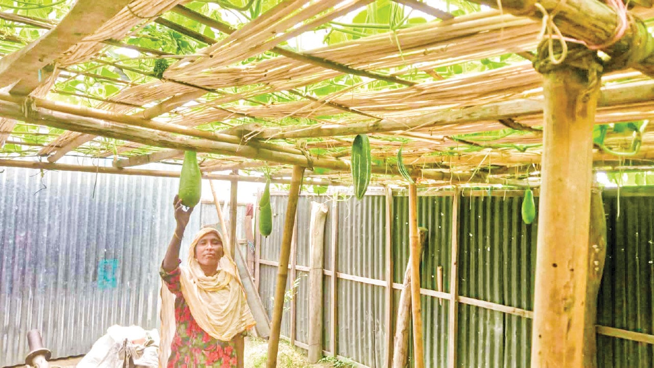 সবজি চাষে স্বাবলম্বী জামফুল বেগম