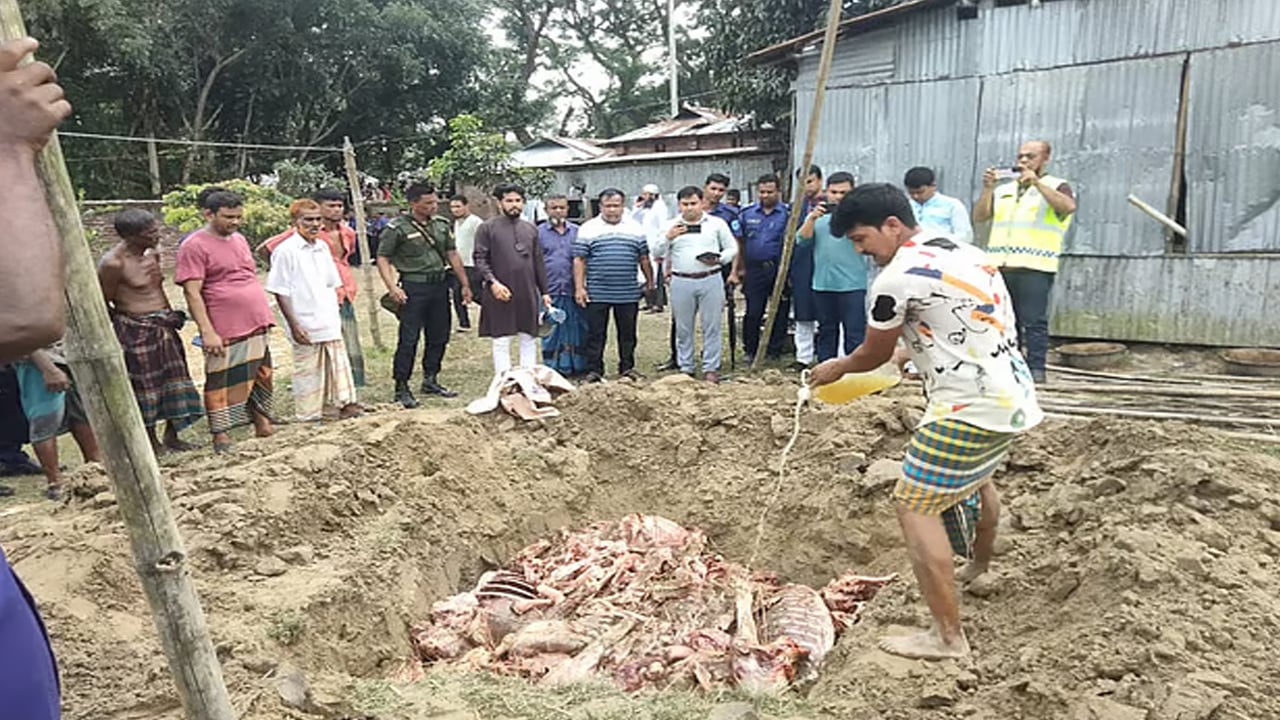 সাদুল্যাপুরে ঘোড়া জবাই করে মাংস বিক্রির চেষ্টা, ছয়জন আটক