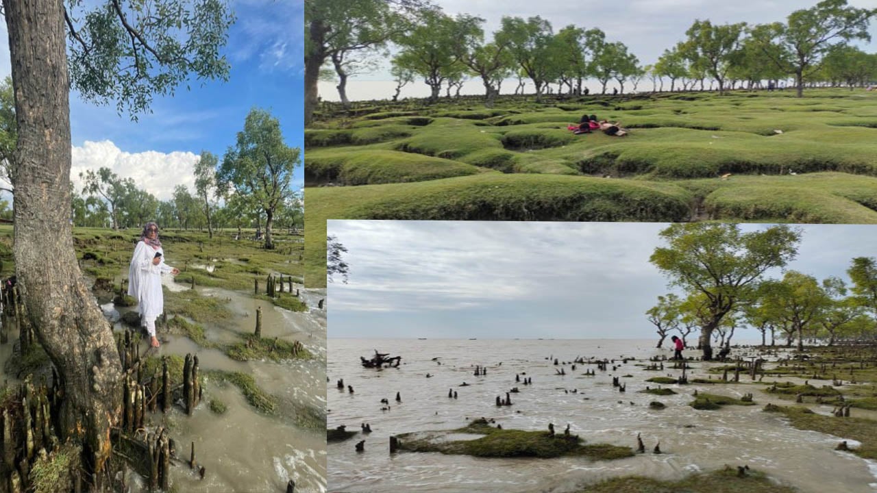 গুলিয়াখালী—যেখানে ঘাস কথা বলে, সমুদ্র শোনে