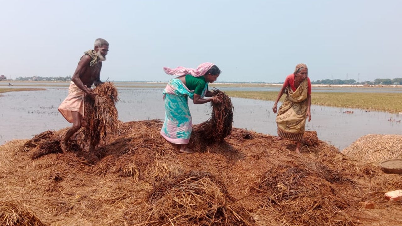 ক্ষতিগ্রস্থ কৃষকদের তালিকায় মৃত-ধনাঢ্য ব্যক্তিরাও