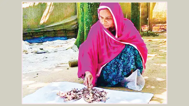 জর্দার কৌটায় এক দশক টাকা জমিয়েছেন, খুলে দেখেন সব শেষ