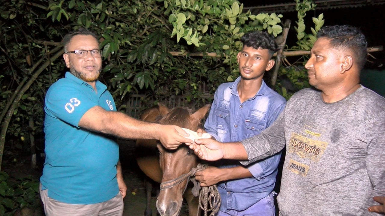 অন্ধ ঘোড়ার সেবায় সোহানের পাশে দাঁড়ালেন প্রধানমন্ত্রী