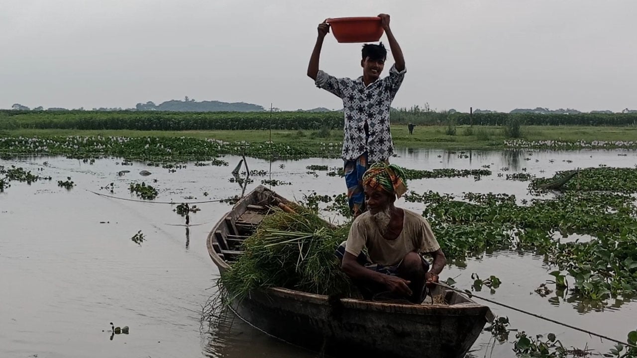 নেই সেতু নেই মাঝি, ঝুঁকি নিয়ে খাল পারাপার
