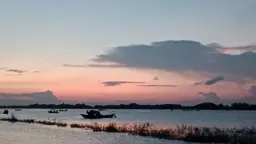 শিবচরে জেলে কার্ড বিতরণে অনিয়ম ও স্বজনপ্রীতির অভিযোগ