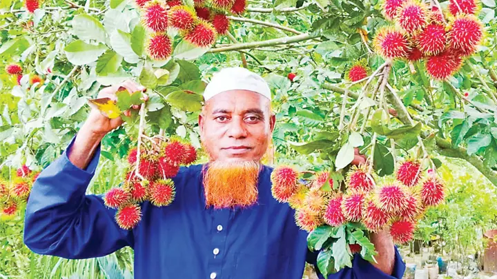 ছিলেন রিকশাচালক, নার্সারি বানিয়ে এখন কোটিপতি লুৎফর