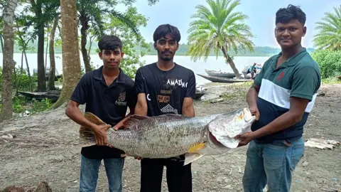 জাল টেনে নৌকায় তুলতেই ২০ কেজির কোরাল