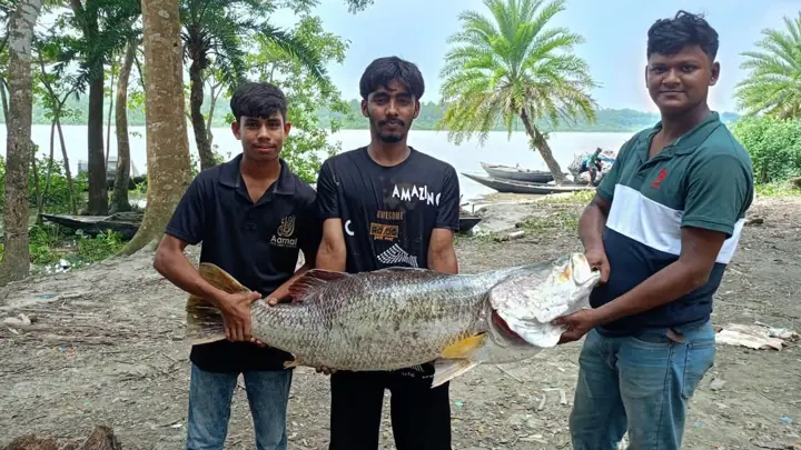 জাল টেনে নৌকায় তুলতেই ২০ কেজির কোরাল